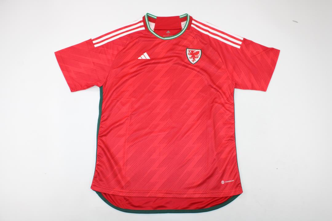 AAA Quality Wale 2022 World Cup Home Soccer Jersey